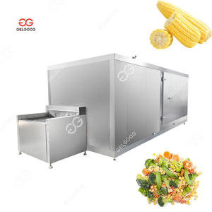 Máquina de Congelación Rápida Industrial Automática con Control PLC, Ahorro de Energía, Lavado, Secado y Congelación Criogénica de Frutas en Túnel - Product Image 5