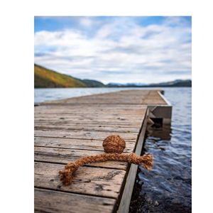 Juguete Ecológico para Perros de Cuerda de Cáscara de Coco Natural, Producto Interactivo para Masticar, Envío Inmediato - Product Image 2