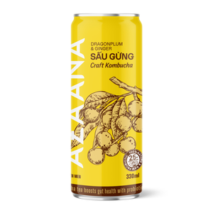 Wholesale Dracontomelon Ginger <b>Soft</b> <b>Drink</b> RTD Beverage Vietnam Supplier OEM Private Label Bulk Production For Supermarket Chains - Product Image 2