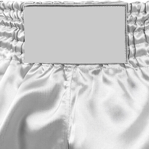 Shorts de boxe Muay Thai pour hommes, tissu microfibre premium, niveau professionnel, shorts de performance Muay Thai haute résistance - Product Image 5