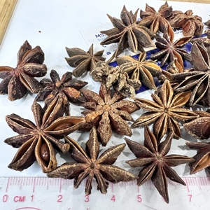 Anís estrellado entero seco, grado alimenticio, aroma natural, suministro al por mayor B2B para fábricas de condimentos, importador de té de hierbas/ ANNA DO - Product Image 6