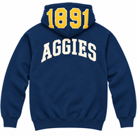 Vente en gros de sweat-shirts à capuche personnalisés de l'Université d'État de Caroline du Nord A&T, broderie en chenille lourde, style universitaire, streetwear