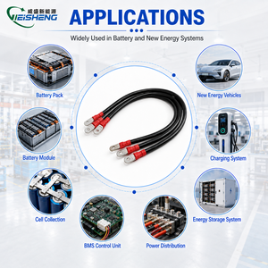 Harness Kabel Baterai Kustom untuk Pengumpulan Tegangan dan Suhu BMS - Product Image 2