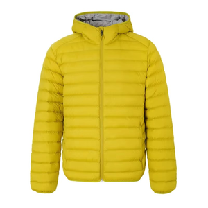 Chaqueta de Plumón para Hombre, Otoño, Cierre con Cremallera, Relleno de Algodón, Diseño Personalizado, Servicio OEM, Resistente al Viento, Transpirable, Casual - Product Image 5