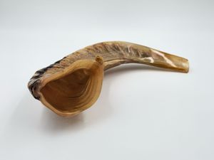 Shofar en corne de bélier naturelle, artisanat religieux, corne d'animal brute polie, forme courbée, shofar artisanal pour la prière. - Product Image 4