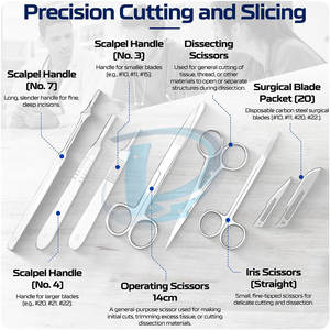 Kits de Disección y Tejidos de Alta Calidad, Nuevo Diseño, Precio Bajo de Fábrica - Product Image 2