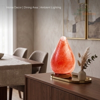 Premium Hand Carved Teardrop Shape Himalayan Pink Salt Lamp Warm Ambient Night Light for Bedroom Living Room Decor