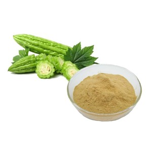Polvo de Melón Amargo 100% Puro y Natural al por Mayor, Polvo de Momordica Charantia de Alta Calidad de la India - Product Image 2