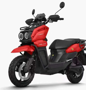 Nueva Motocicleta Eléctrica Deportiva Todoterreno, Rápida, 2000w, 85km/h, de Largo Alcance, con Panel de Combustible, Ruedas de Vacío de 12 Pulgadas - Product Image 3