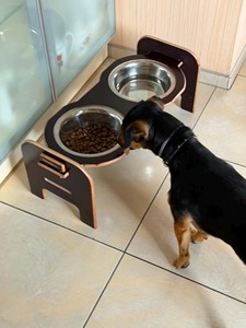 Modern Classic Style Eco-Friendly Wood and <b>Dog</b> <b>Bowl</b> <b>Stands</b> Customized Logo Print for Indoor Outdoor Travel Use <b>dog</b> food <b>bowl</b> - Product Image 4