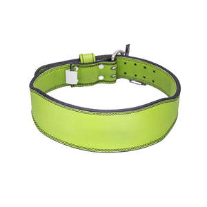 Nuevo Diseño de Cinturón de Piel Sintética para Levantamiento de Pesas, Personalizado para Hombre y Mujer - Product Image 1