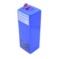 Baterai Lithium Ion 24V 36V 48V 52V 60V 72V 20Ah 25Ah 30Ah 40Ah 50Ah 60Ah 70Ah 80Ah 90Ah 100Ah untuk 250W 300W 1000W 2000W 3000W