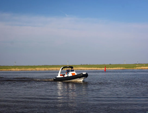 Z-o-d-i-a-c M-e-d-l-i-n-e 7.5 - Product Image 3