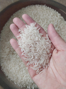Arroz Jazmín Aromático Nang Hoa al por Mayor, en Bolsas Doradas de 25lbs y 50lbs (Personalizadas), del Mejor Molino de Vietnam, Celeste VILACONIC - Product Image 2