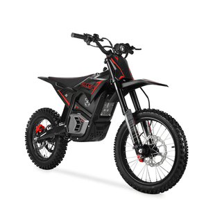 New Arrive For EM-5 PRO Electric Dirt Bike Delivery World Wide - Product Image 1