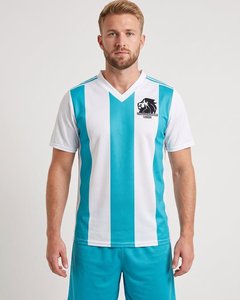 Maillot de volley-ball pour hommes personnalisé de haute qualité, rayures verticales aqua et blanches, sublimation intégrale, maillot de football - Product Image 1