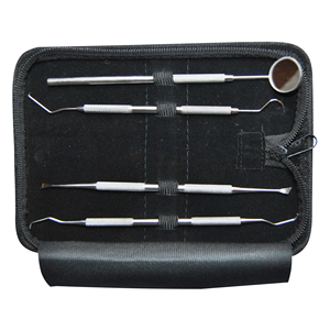 Ensemble d'examen dentaire professionnel 6 pièces, kit de nettoyage dentaire en acier inoxydable, outils de soins bucco-dentaires - Product Image 5