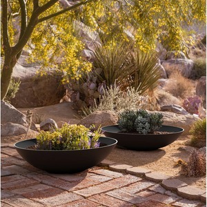Maceta Circular Negra Minimalista de Plástico para Plantas Verdes de Interior, Diseño Ligero para Uso Doméstico - Product Image 3