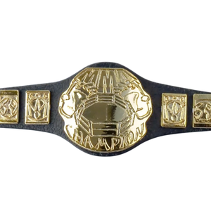 Ceinture de champion Internet personnalisée plaquée or – Récompense sportive de haute qualité pour le lutteur, titre personnalisé - Product Image 5