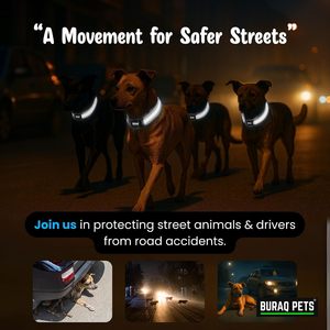 Max Reflective Dog <b>Collar</b> OEM ODM Custom Logo Adjustable Nylon Pet <b>Collar</b> Direct Manufacturer - Product Image 4