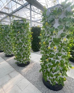Tour de culture aéroponique verticale intelligente, idéale pour les maisons, les écoles et les utilisations commerciales, pour cultiver des légumes frais, des fruits et des herbes à la maison - Product Image 3