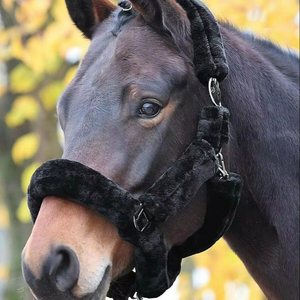 Custom Designed Equestrian Stainless Steel Halter Soft Padding Horse <b>Head</b> Collar Nose-Band <b>Head</b>-Band Rope Type High Quality - Product Image 6