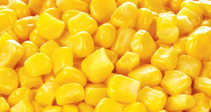 ข้าวโพดหวานเวียดนามคุณภาพสูง – ฉ่ำ หวาน ธรรมชาติ พร้อมรับประทาน // คุณทอม - Product Image 6