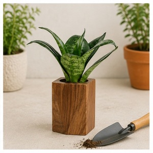 Maceta Moderna Hecha a Mano de Madera Sólida para Plantas de Interior, Ecológica y Natural, para Oficina, Escritorio y Hogar - Product Image 4