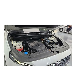 Hyundai Santa Fe Diésel 2.2 2WD Euro V 2021, Transmisión Automática, Asientos de Cuero, 32,706 km, Volante a la Izquierda - Product Image 6