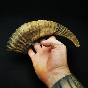 Vrai cor de mouton, véritable qualité supérieure, poli à la main, best-seller en Inde - Product Image 1