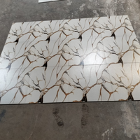Carreaux de sol en céramique imprimés numériquement 600x600mm, surface brillante, couleur blanche, utilisation moderne pour villa