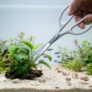 Ciseaux d'aquascaping écologiques de 10 pouces en acier inoxydable pour l'entretien de l'aquarium et l'utilisation du salon - Product Image 3