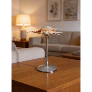 Copa de vino con diseño de concha marina, tendencia en la industria, excelente opción para hoteles y resorts con temática playera. Opciones de logotipo personalizables. - Product Image 2