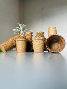 Maceta de Fibra de Coco – Maceta Ecológica para Germinación de Semillas, Agricultura y Cultivo en Jardín - Product Image 2