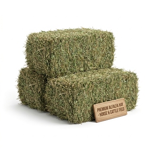 Heno de Alfalfa en Pacas, Alimento para Animales, Forraje con Alto Contenido de Proteínas, Grado Alimenticio para Ganado, Caballos, Vacas, Ovejas, Venta al Por Mayor, Fabricante, Exportación - Product Image 1