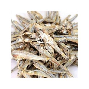 Anchois fumés de haute qualité, salés au sel marin pur, pour une cuisine méditerranéenne savoureuse et de délicieuses collations de fruits de mer croustillants pour le Royaume-Uni - Product Image 1