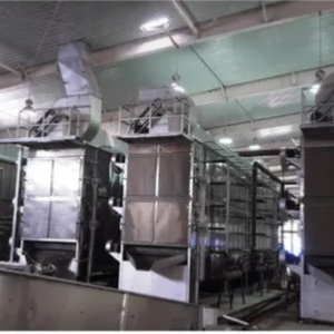 Secadora Industrial de Chiles Verdes, Automática, de Acero Inoxidable, con Aire Caliente, de Alta Capacidad, para Plantas de Procesamiento de Alimentos - Product Image 1