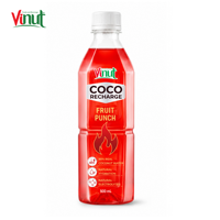 Gratis proefmonster Vinut 500ml Fruit Punch Kokoswater Elektrolyt Drank - 90% Echt Kokos Sport Hydratatie OEM ODM Fabrikant