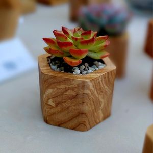 Jarrón de flores cilíndrico de madera de mango de alta calidad para decoración del hogar y el vestíbulo de hoteles, procedente de la India, a un precio impresionante. - Product Image 4