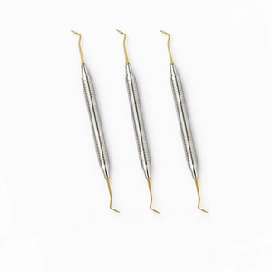 Juego de 3 Instrumentos Dentales Planos de Plástico para Rellenos de Composite, Recubiertos de Titanio Dorado, Herramientas Restauradoras para Colocación Precisa de Composite - Product Image 1