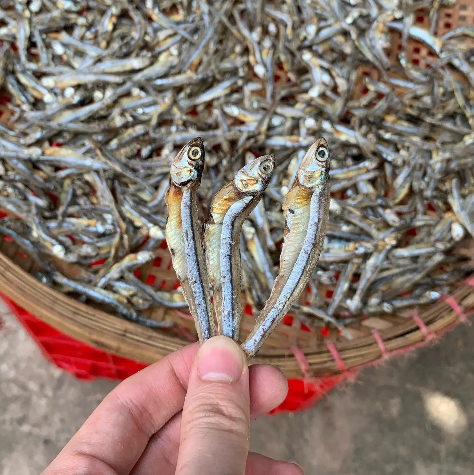 Dry seafood- dried fish anchovy from Vietnam Cheap Price Whatsap 0084 387264621