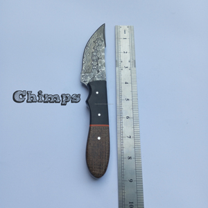 Cuchillo de caza de acero de Damasco hecho a mano, cuchillo desplumador para llevar todos los días, cuchillo de hoja fija, mango de hoja de Micarta con Funda de cuero - Product Image 4