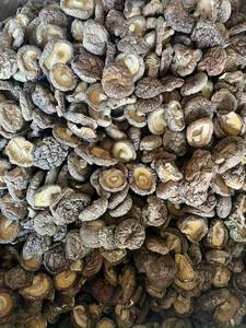 Champignons Shiitake séchés vietnamiens: produit de haute qualité avec arôme naturel et excellente nutrition/Lima - Product Image 6