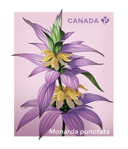 Rollo de 50 Sellos Permanentes de Flores Silvestres de Canadá, Sellos Postales de CA, Etiquetas de Envío, Rollo de Etiquetas de Embalaje para Correo Postal de Canadá - Product Image 2