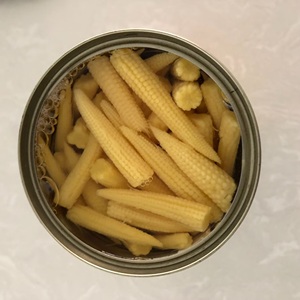 Maíz enlatado premium, maíz joven entero en salmuera, sabor fresco para venta al por mayor y exportación - Product Image 3