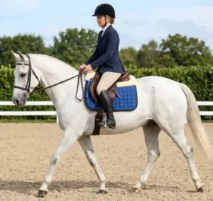 Custom Wholesale Horse Equipment Custom Contoured 100% <b>Wool</b> <b>Felt</b> Western Horse Saddle Pad <b>for</b> Horse Racing Riding Comfortable - Product Image 2