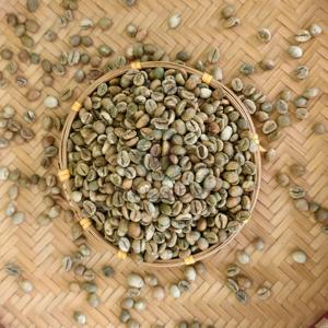 Café Vert Robusta Frais de Ferme du Vietnam en Gros – Grains de Café Non Torréfiés pour l'Exportation - Product Image 2