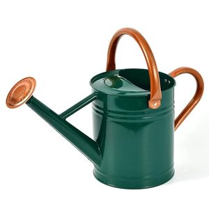 Arrosoir vintage en métal vert avec poignée en bois, pot d'arrosage de jardin - Product Image 1