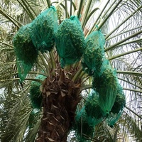 Hoge Sterkte Groene Ronde Draad Dadelpalm Fruit Oogstnet Zak Dadelpoort Opvangzak