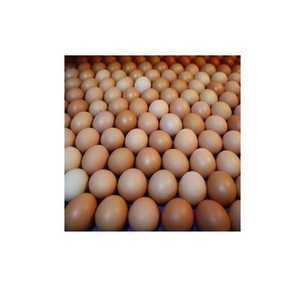 ไข่ไก่สดจากฟาร์ม ไข่ไก่เปลือกสีน้ำตาลและสีขาวในประเทศไทย - Product Image 2